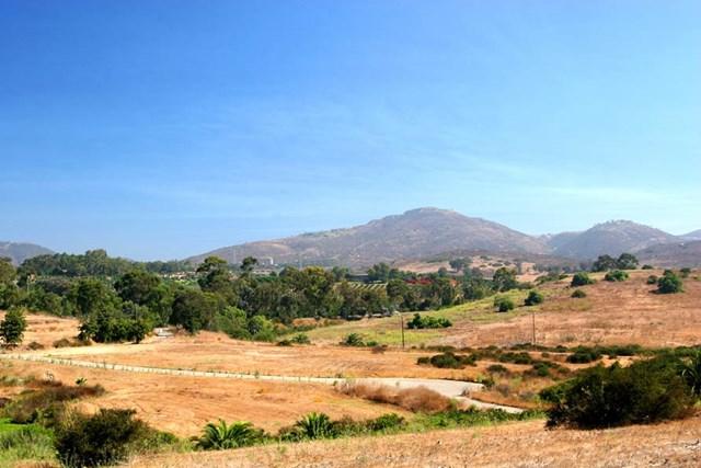 0 La Palma - Photo 1