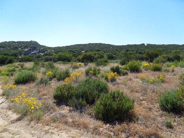 34757 Highway 94 - Photo 1