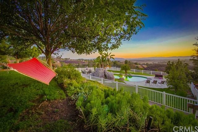 39605 Chaparral Drive - Photo 1