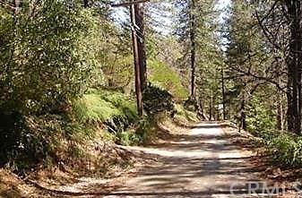10642 Foothill Road - Photo 1