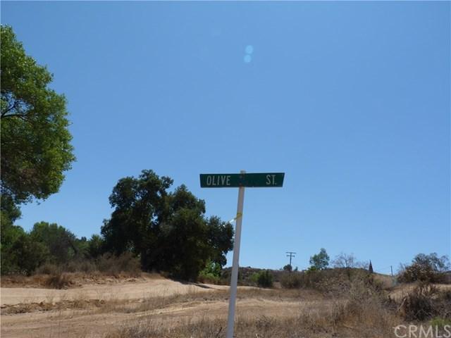 0 Olive - Photo 1