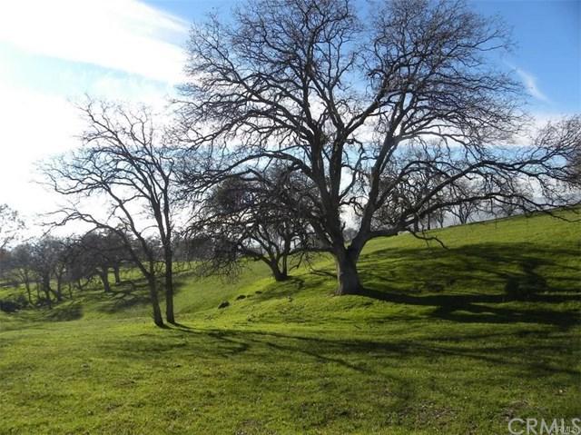 0-Lot 1 Misty Ridge Road - Photo 1