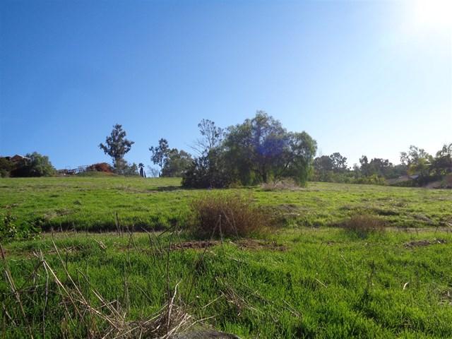 2145 Dons Way - Photo 1