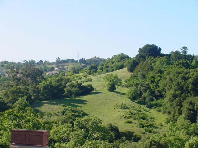 2 Mount Eden Road - Photo 1