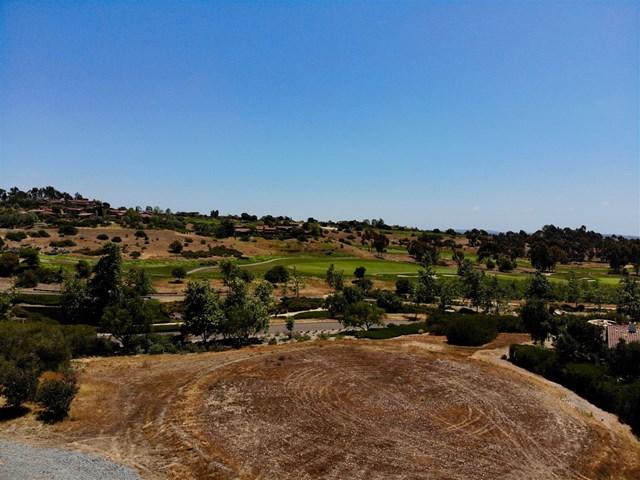 8015 Run Of The Knolls - Photo 1