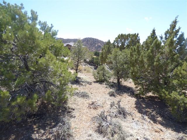 658 Canyon Ridge Drive - Photo 1