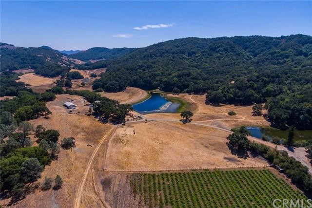 10101 Highway 46 - Photo 1