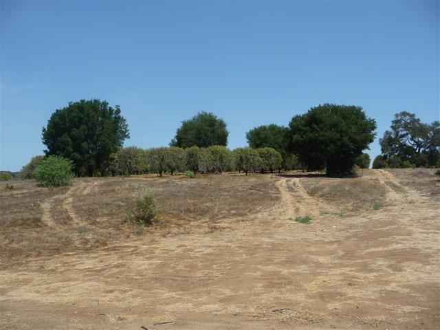 Olive Hill Rd. - Photo 1