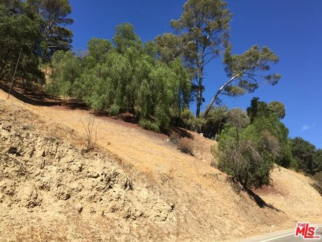 0 Kagel Canyon Road - Photo 1
