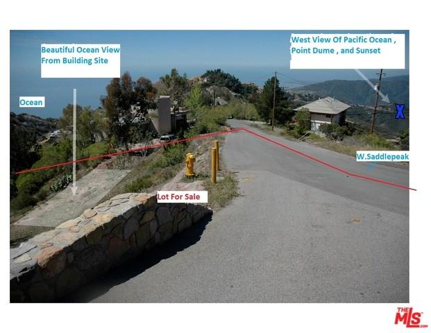 24744 West Saddlepeak Road - Photo 1