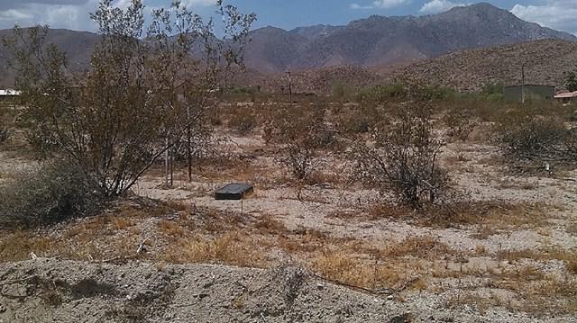 Borrego Springs Rd - Photo 1