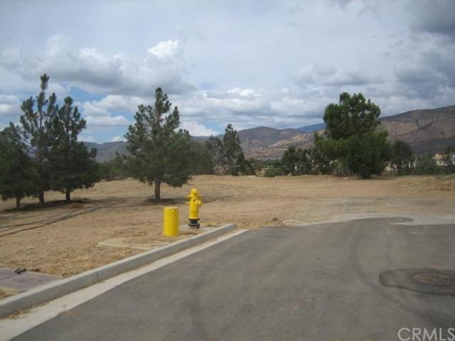 35886 Oak Glen - Photo 1