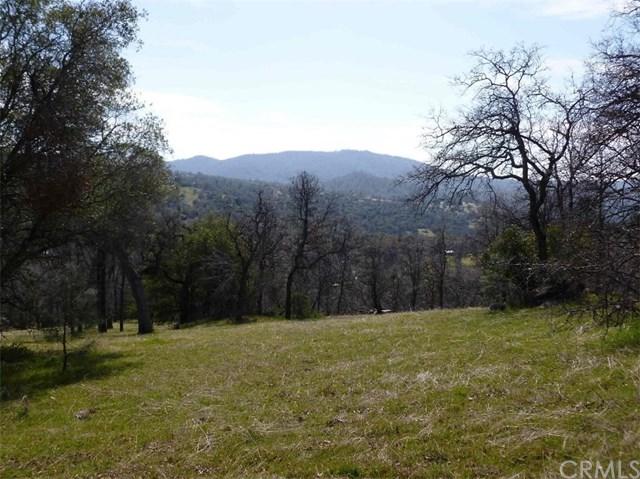 0-13.09 AC Quail Creek Road - Photo 1