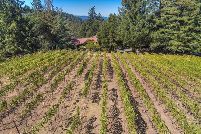 0 Loma Prieta Avenue - Photo 1