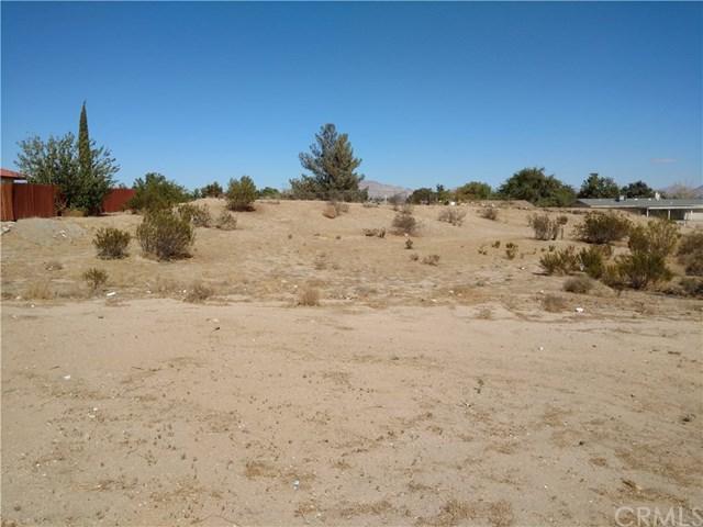 16236 Nisqualli Road - Photo 1