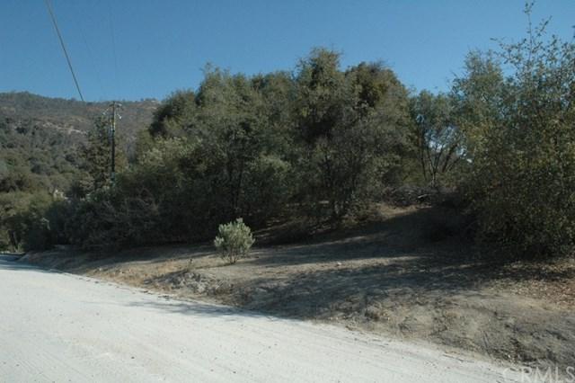 3-AC River Falls Road - Photo 1
