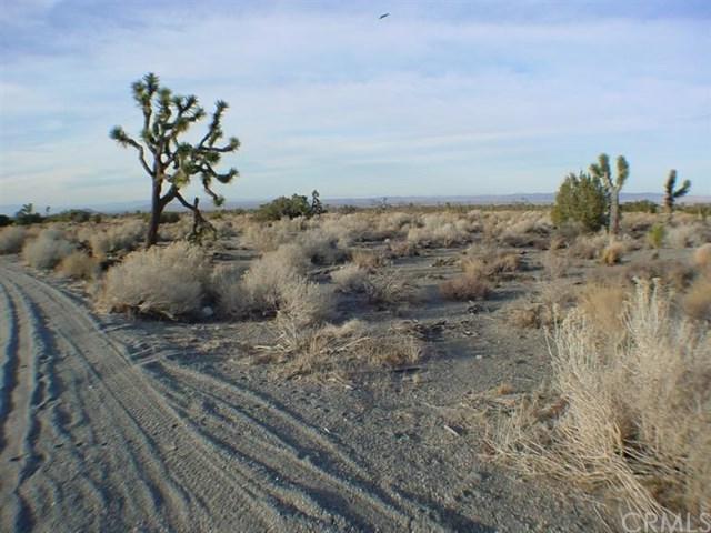 0 Daisy Lane - Photo 1