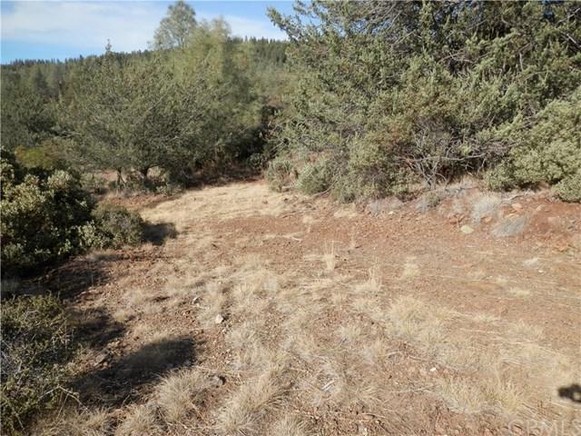 13130 Bottle Rock Road - Photo 1