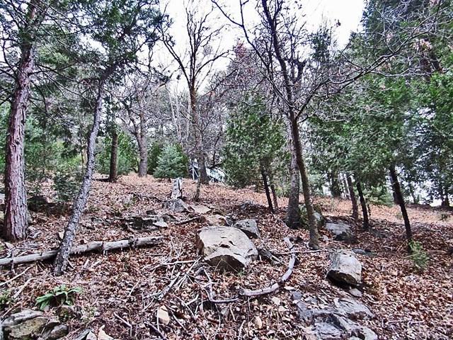 0 Alder Creek Road - Photo 1