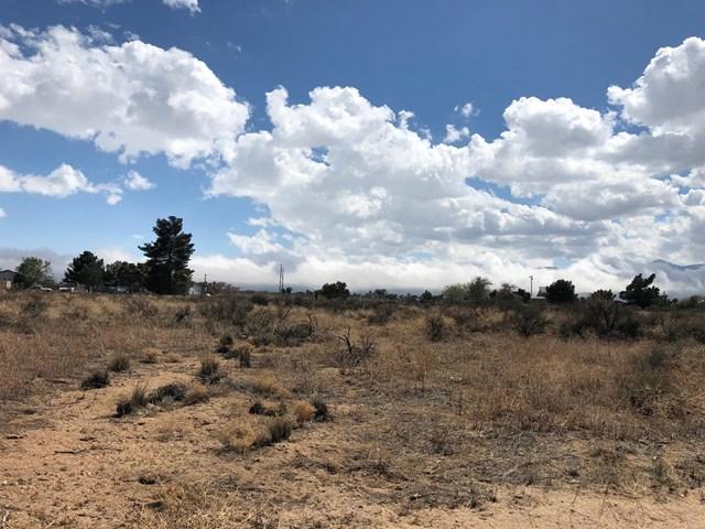 0 Sonora Road - Photo 1