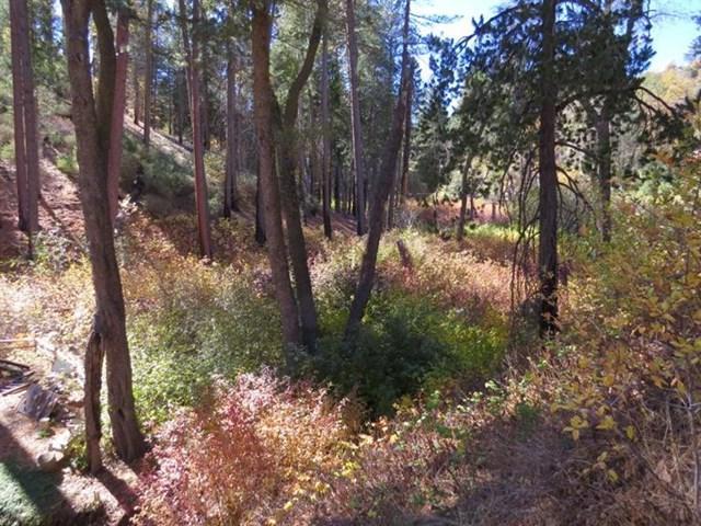 29629 Little Bear Creek Road - Photo 1