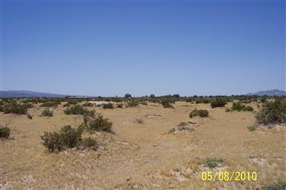 0 Fort Cady Road - Photo 1