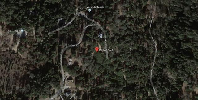 817 Buck Drive - Photo 1