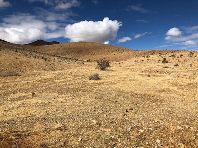 1 Dale Evans Parkway - Photo 1