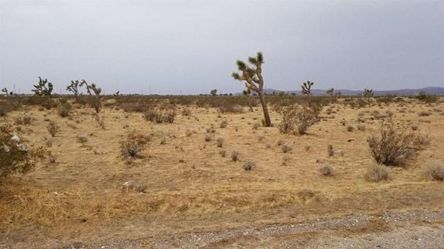 0 Lawson Avenue - Photo 1