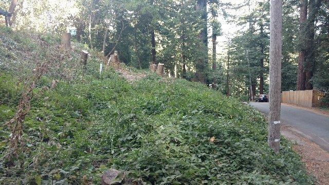 0 Santa Ana Road - Photo 1