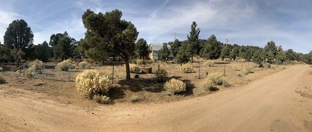 1 Pond Drive - Photo 1
