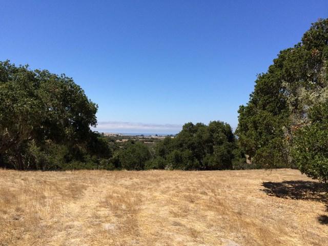 8180 Manjares (Lot 134) - Photo 1