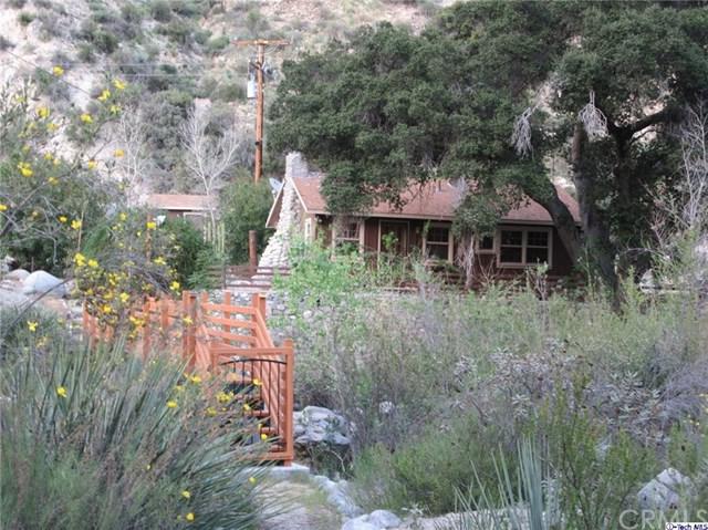 19408 Trail Canyon - Photo 1