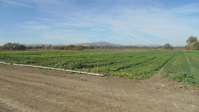 9004 Frazier Lake Road - Photo 1