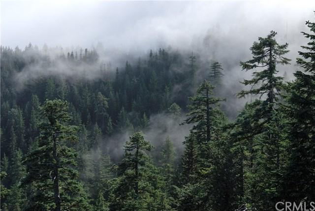 0 Poorman Creek Rd - Photo 1