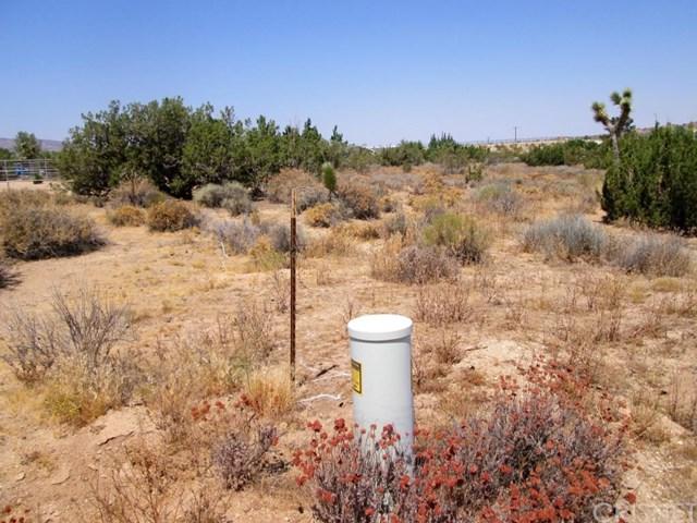 0 Delbana Ave N/O Ft Tejon Rd - Photo 1