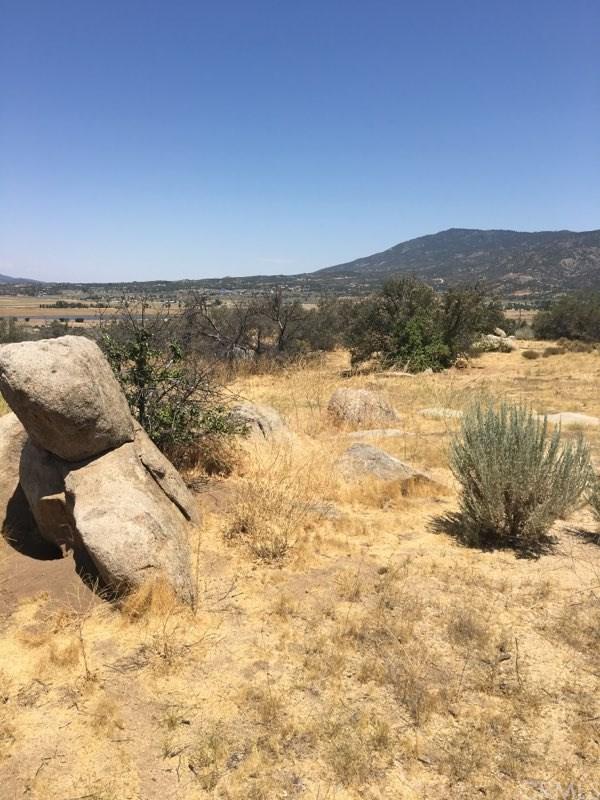 58815 Red Shank Rd - Photo 1