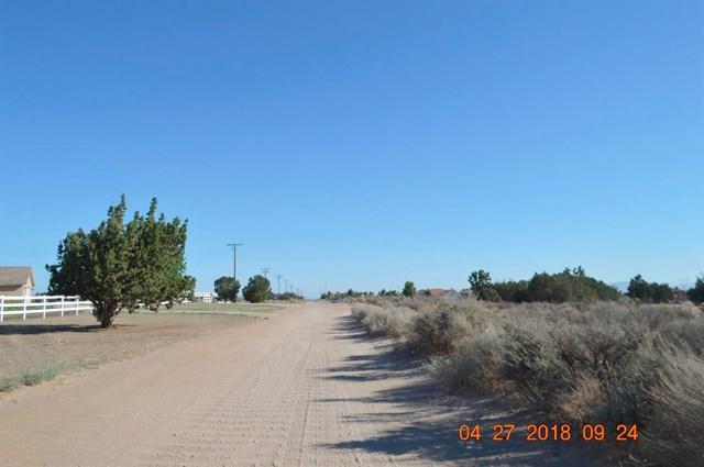 8589 Aster Road - Photo 1