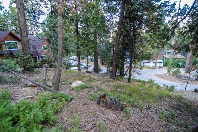 0 305 Cedar Brook Drive - Photo 1