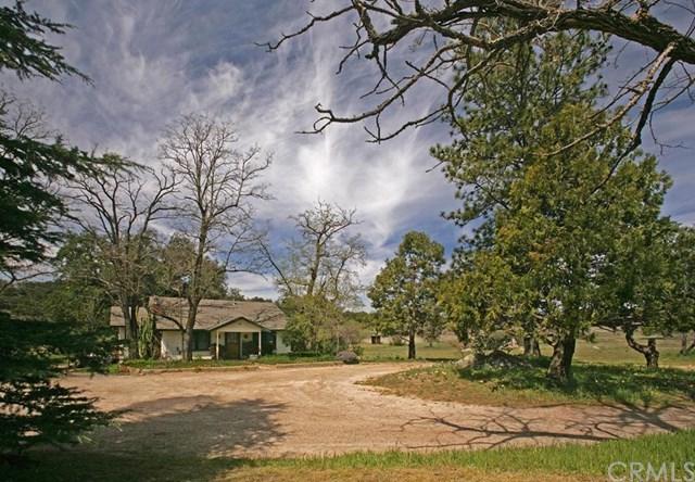 4295 Hwy 78 - Photo 1