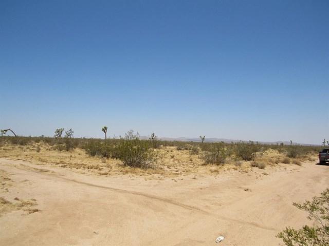 0 Beaver Road - Photo 1