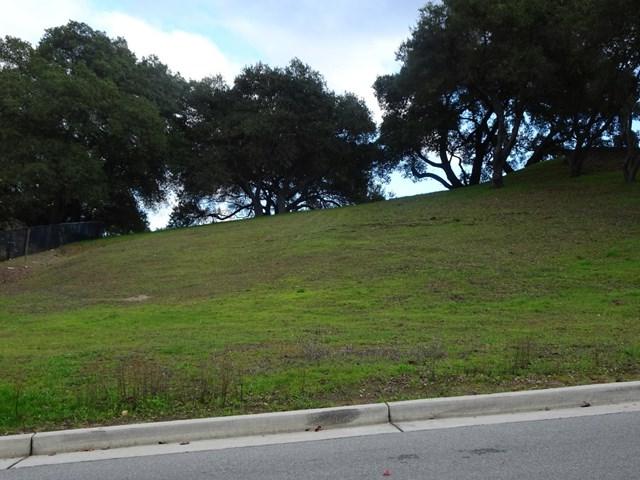 8760 Wild Iris Drive - Photo 1