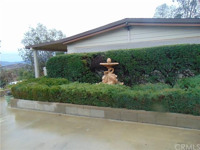 33411 Daily Road - Photo 1