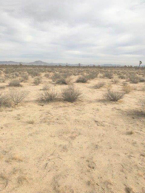 0 Off Yucca - Photo 1