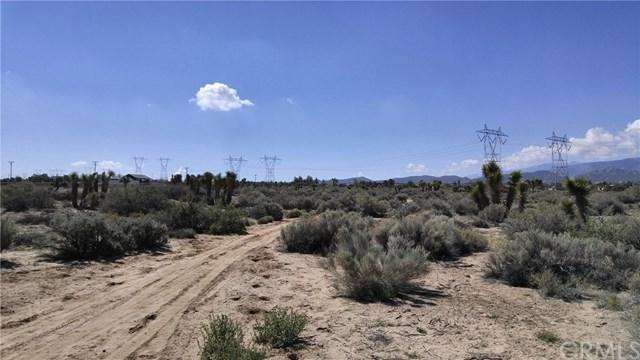 5755 Coyote Road - Photo 1