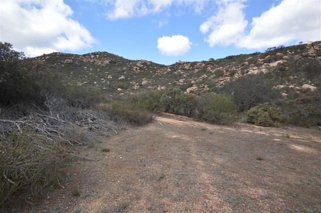 10 Skyline Truck Trail - Photo 1