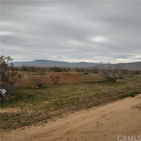 0 Buckbrush Lane - Photo 1