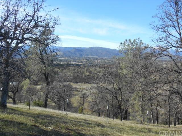 0 Sites Lodoga Road - Photo 1