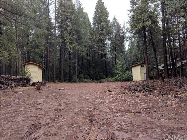 6585 Black Shadow Road - Photo 1