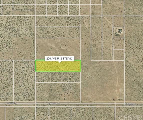 20000 Vac/200 Ste/Vic Avenue R12 - Photo 1